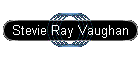 Stevie Ray Vaughan